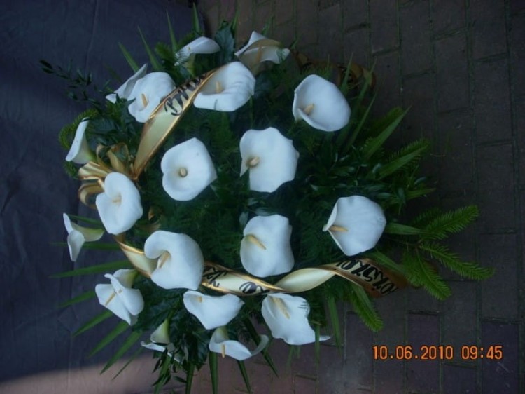 74image109