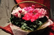 6image124