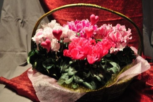 6image125