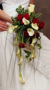 8image2