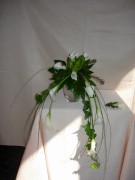 23image4