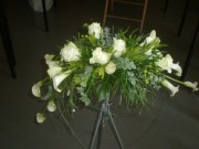 24image7