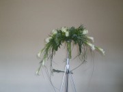 24image8