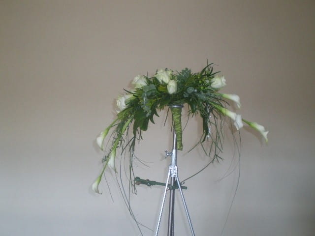 24image8