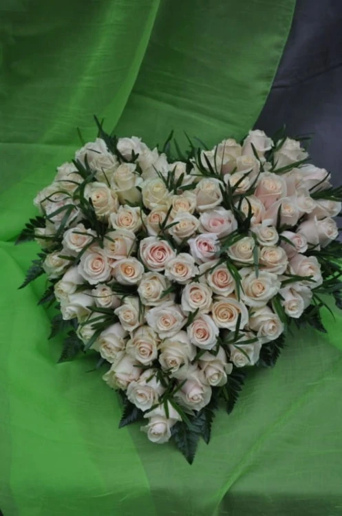 41image41