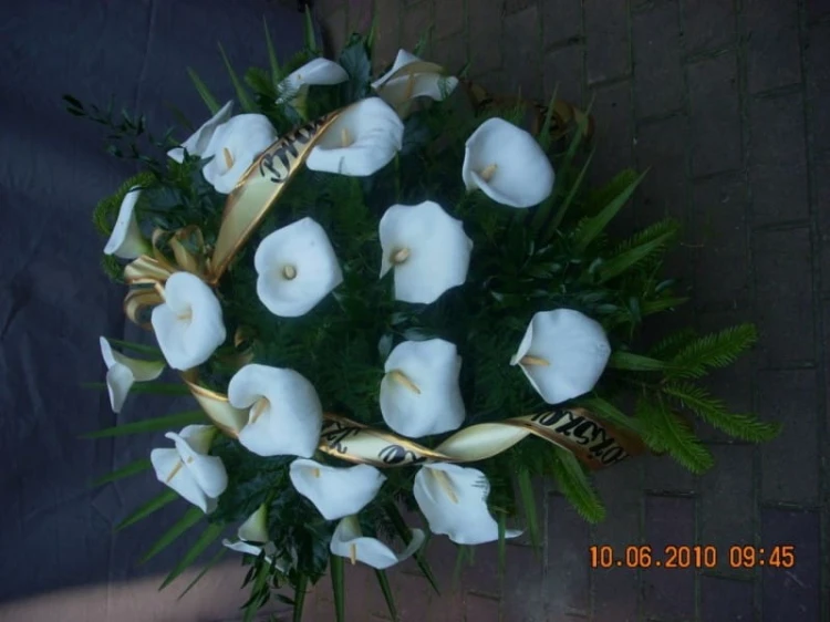 74image109