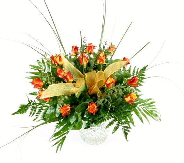 17image22.jpg